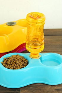 当阳光射进阴霾 蘑菇街优店的宠物温情日用品